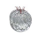 �T��o����