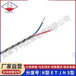 T型热电偶补偿导线KC-GAVP2VP2阻燃75度