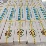 101Aű�y�T�k���ܼ����ʯ�n�T�u��ű���