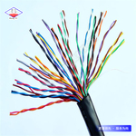 PLC控制系统IJFPVP铜网屏蔽本安电缆