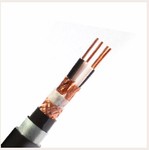 计算机用（屏蔽）电缆