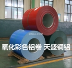 �ܥ־T�O�A�T�g�O�A����T�O