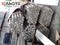 6060�T�γW��