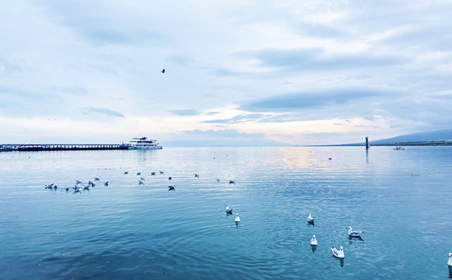 陕西有色金属集团与哈尔滨工业大学座谈交流